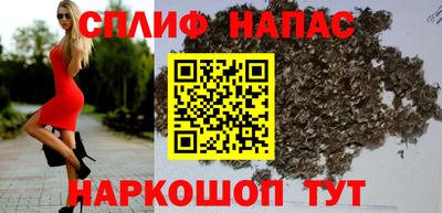 твердый Новодвинск