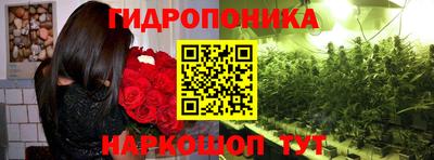 spice Новозыбков