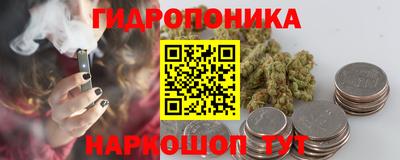 твердый Новодвинск
