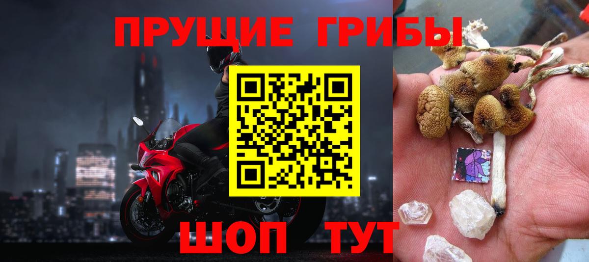 Псилоцибиновые грибы прущие грибы Реж