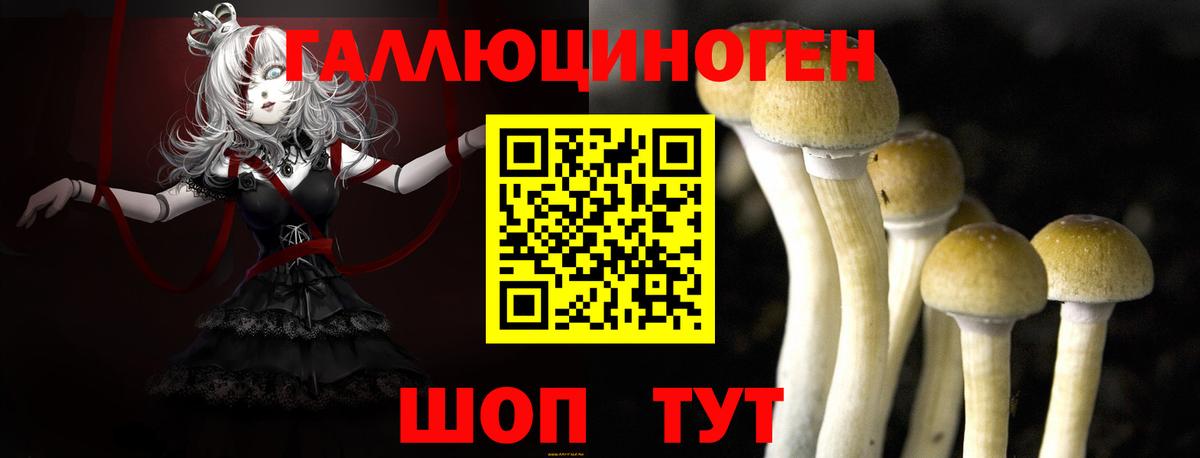 купить   Галлюциногенные грибы Magic Shrooms  Реж  Вход с VPN  Галлюциногенные грибы Psilocybine cubensis 